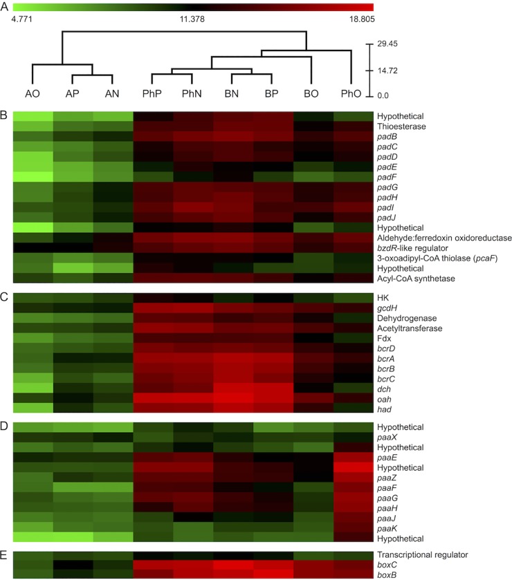 FIG 3 