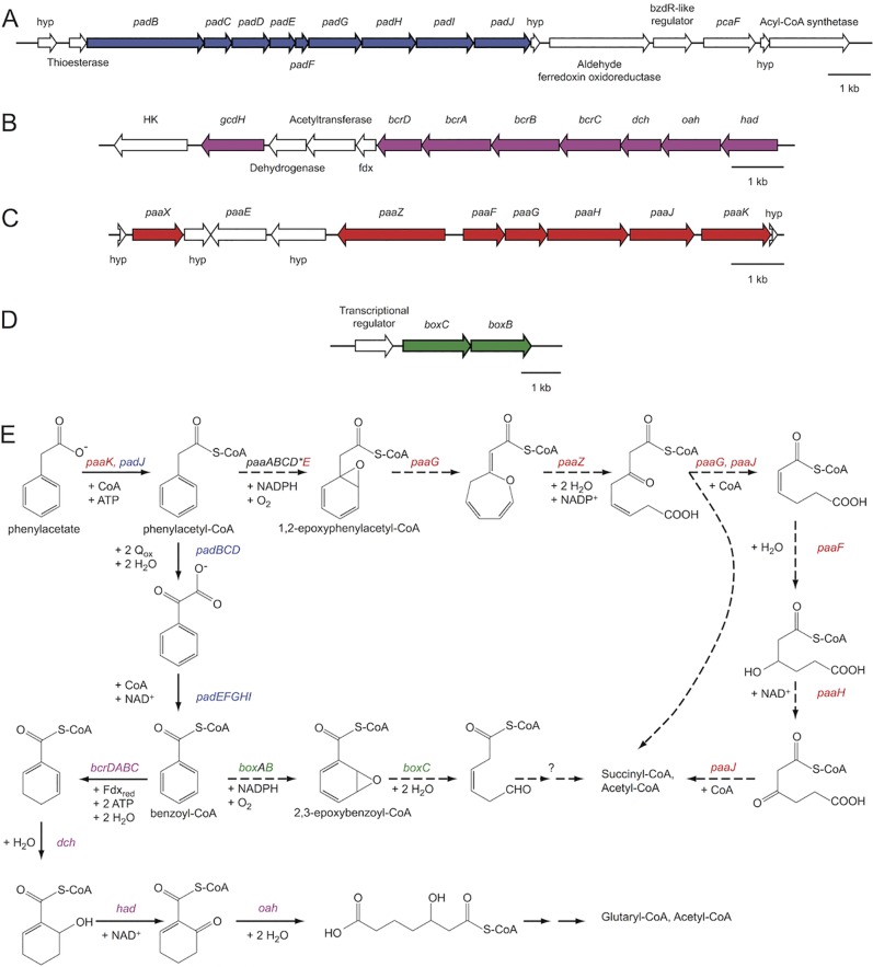 FIG 1 