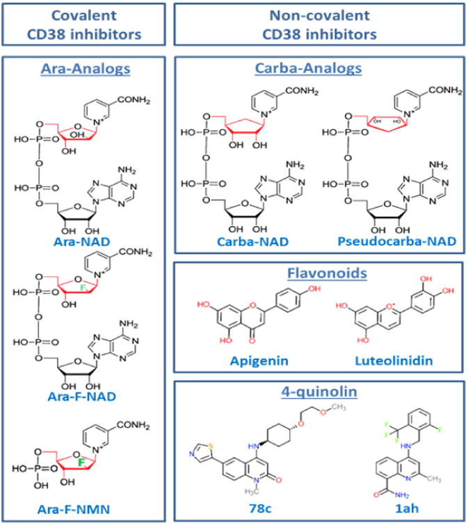 The Pharmacology of CD38/NADase: An emerging target for cancer and ...