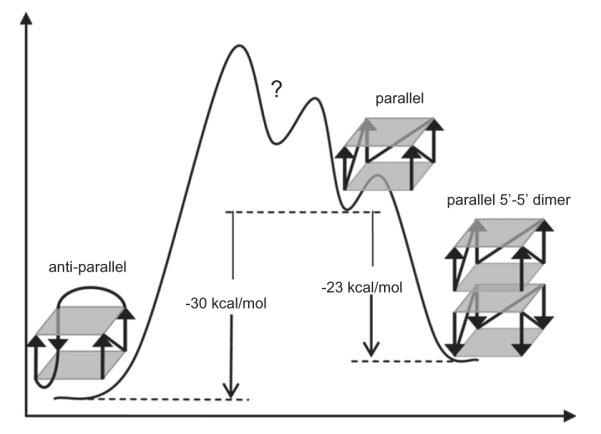 Fig. 7