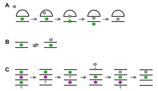 Fig. 8