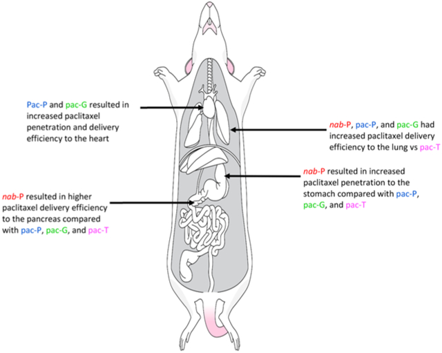 graphic file with name nihms-1773756-f0001.jpg