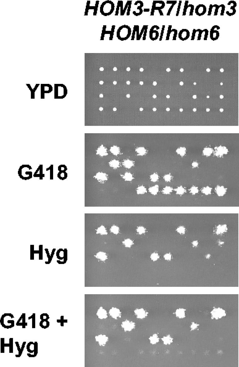 FIG. 5.