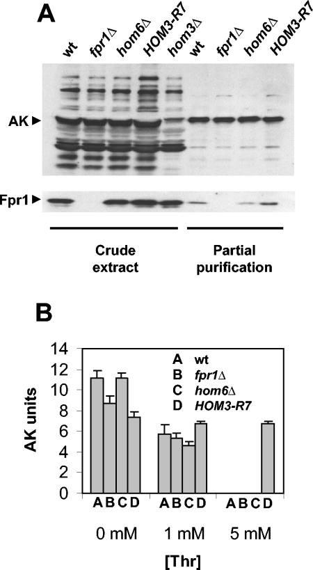 FIG. 8.