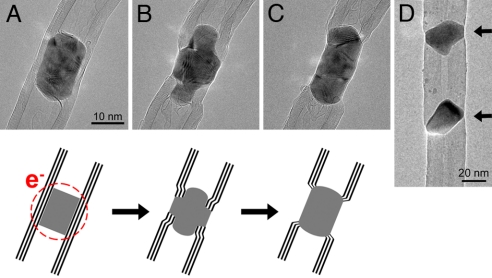 Fig. 1.