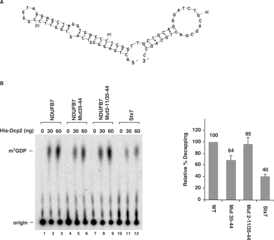 Figure 6.