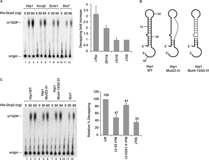 Figure 7.