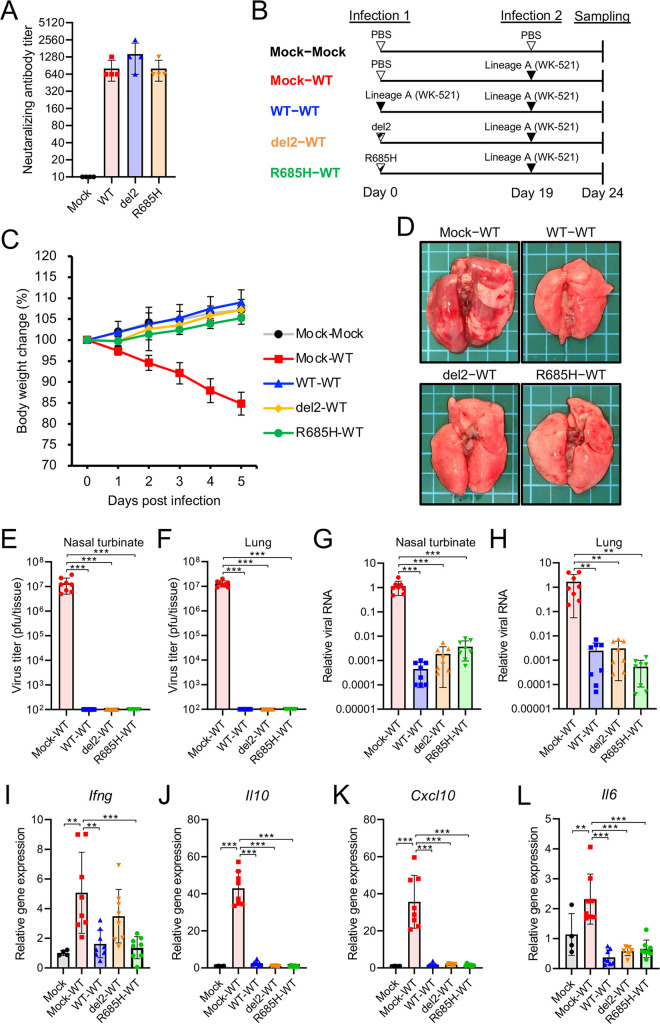 FIG 4