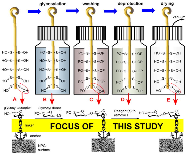 Scheme 1