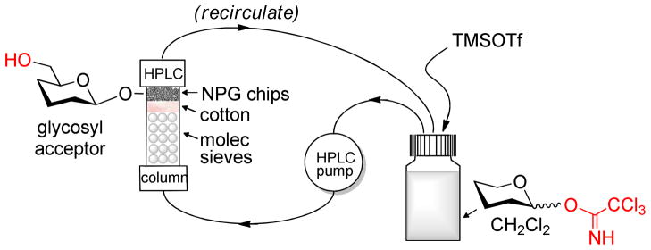 Scheme 5