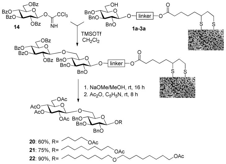 Scheme 6