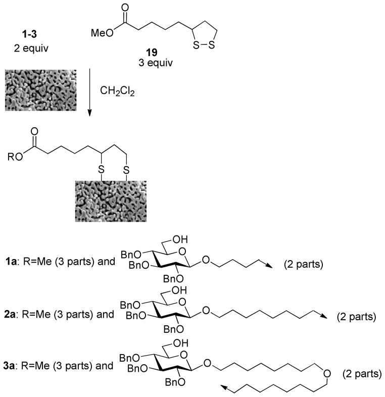 Scheme 4