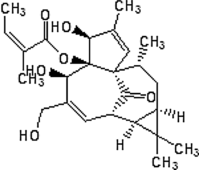 graphic file with name fx27.gif