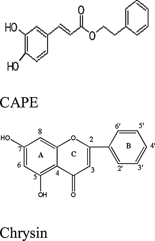 graphic file with name fx3.gif