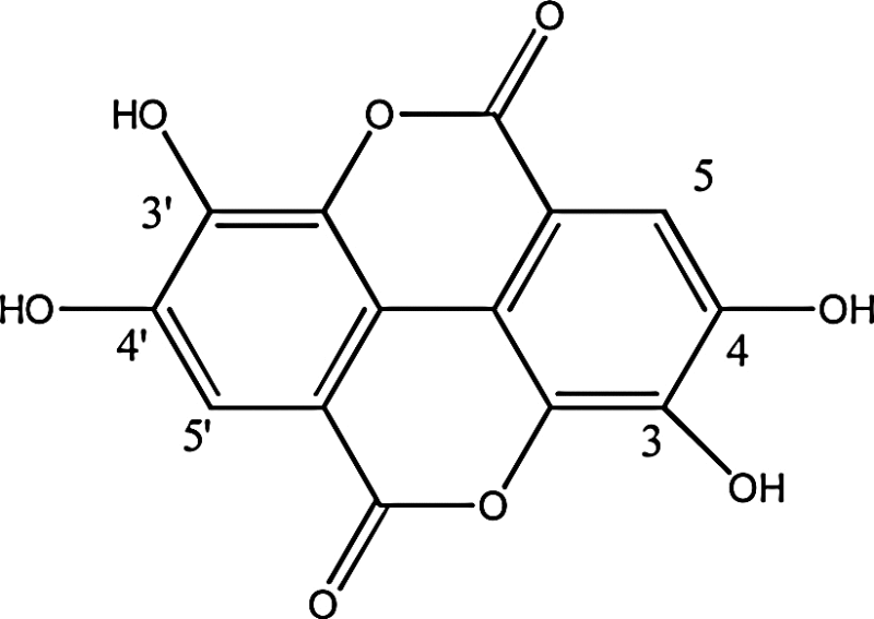 graphic file with name fx5.gif