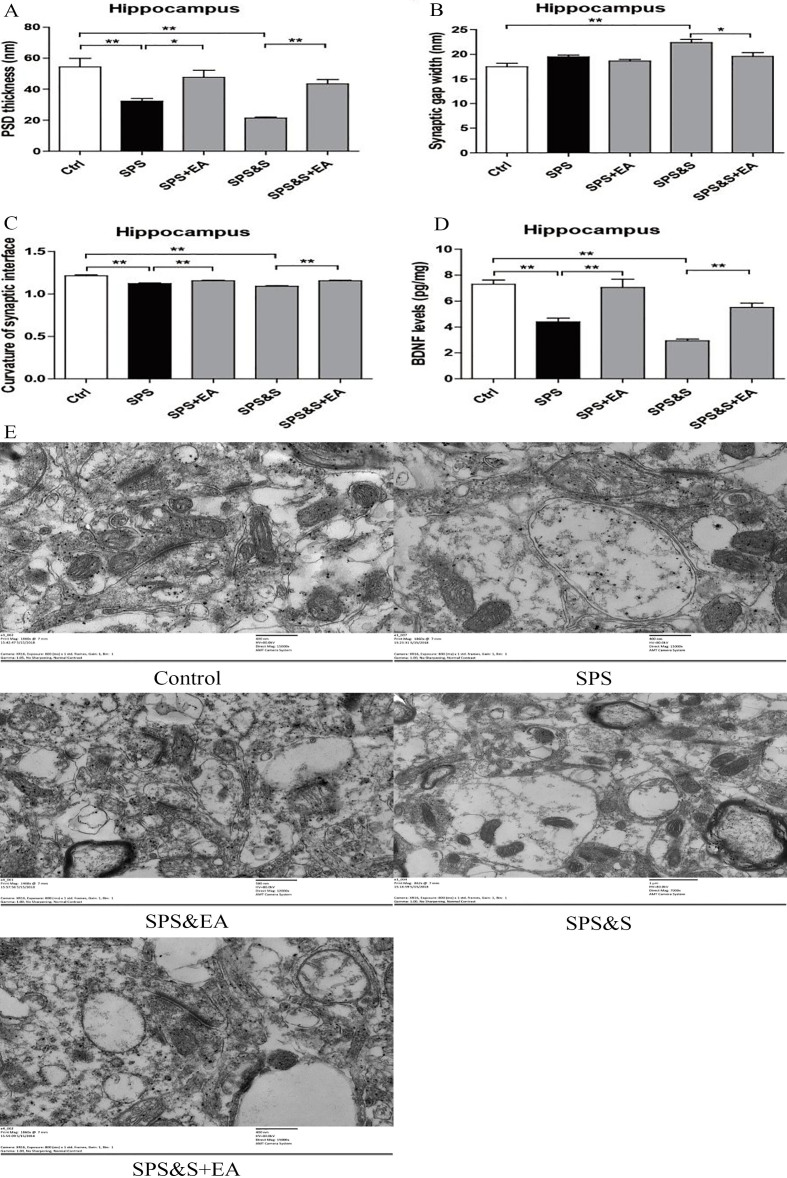 Figure 6.