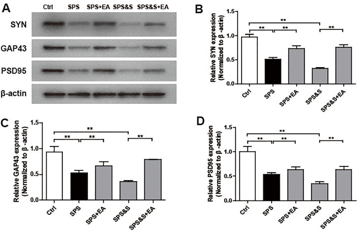 Figure 12.