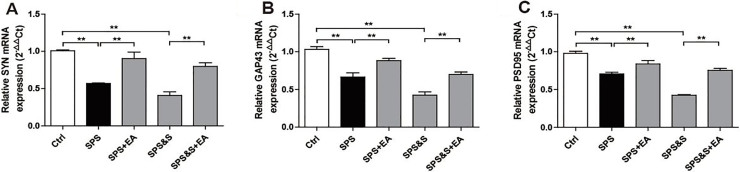 Figure 13.