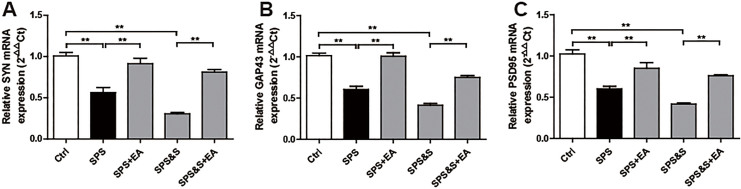 Figure 10.