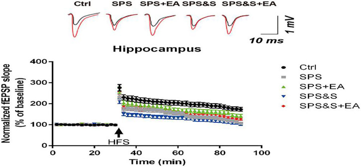 Figure 7.