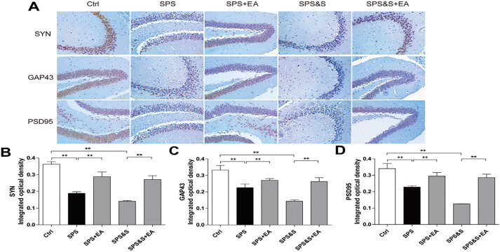 Figure 11.