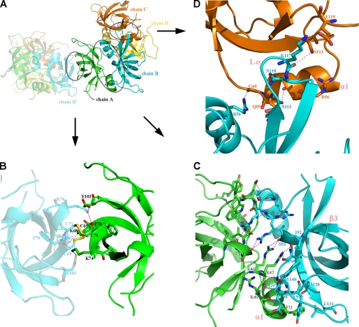 FIGURE 2.