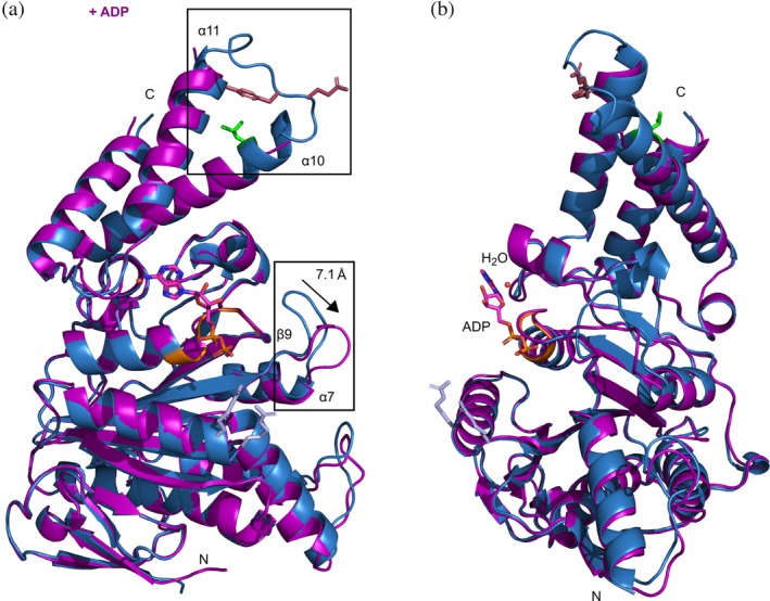 Figure 7