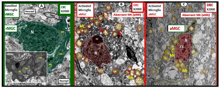 Figure 16