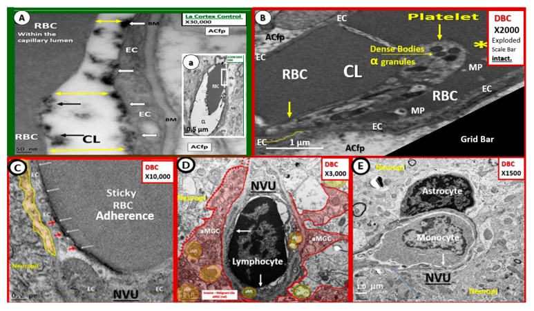 Figure 20