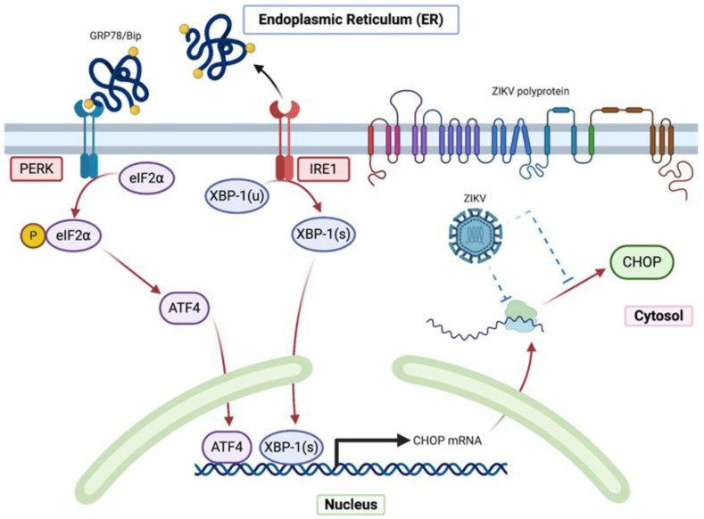 Figure 6