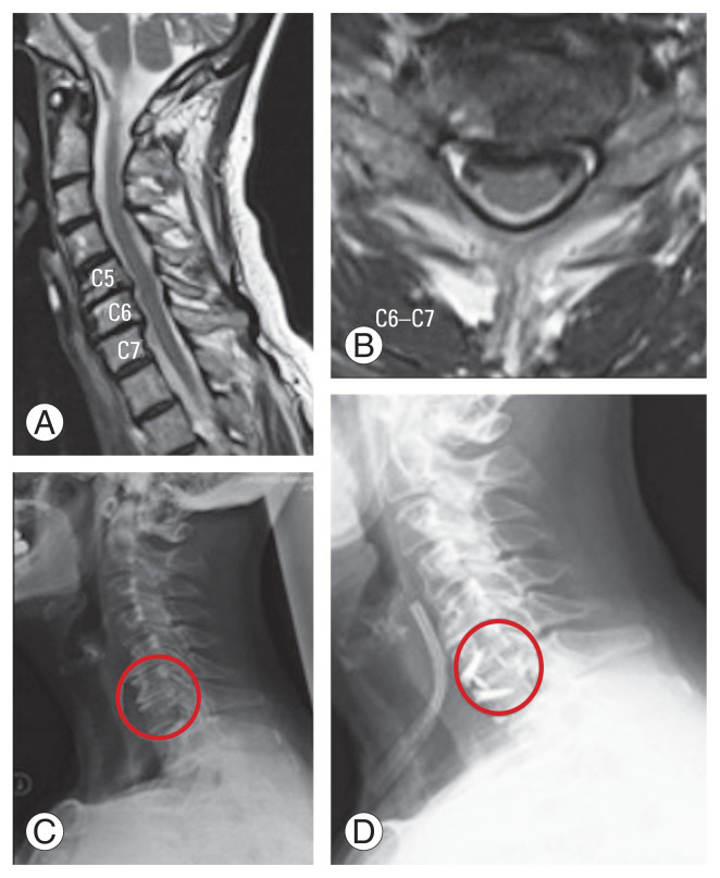 Fig. 6