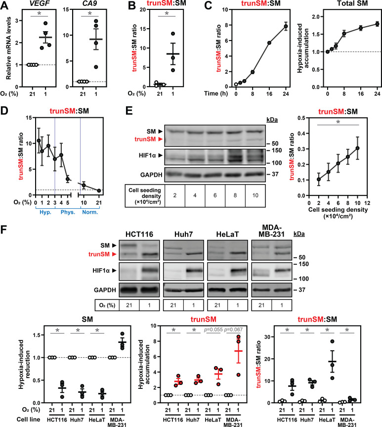 Figure 1—figure supplement 2.