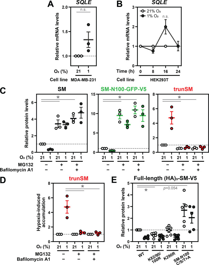 Figure 2—figure supplement 1.