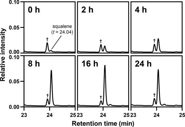 Figure 4—figure supplement 1.