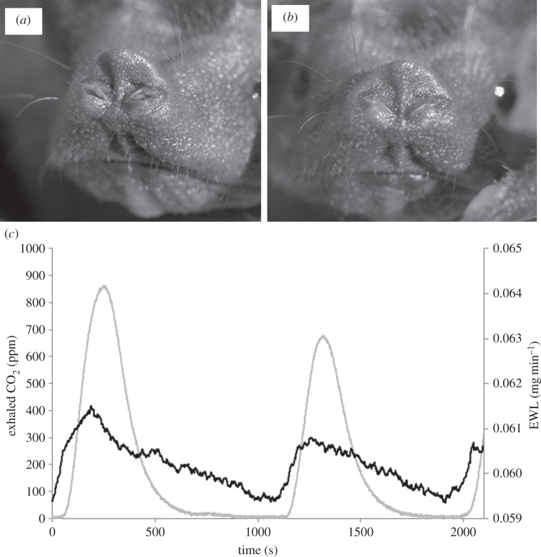 Figure 6.