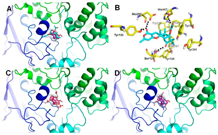 Figure 6