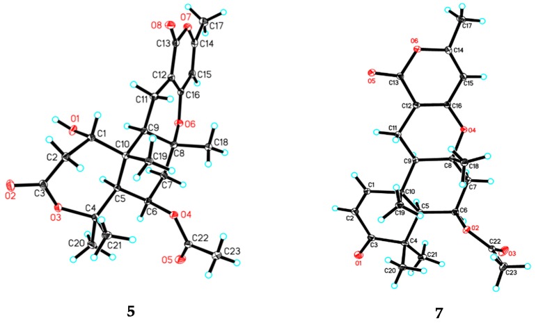 Figure 5