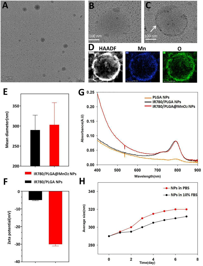 FIGURE 2