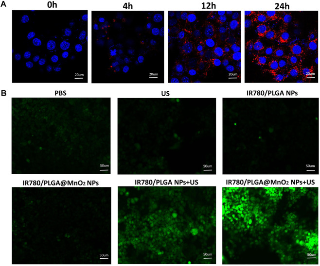 FIGURE 4