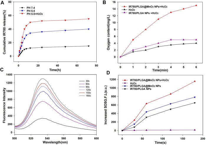 FIGURE 3