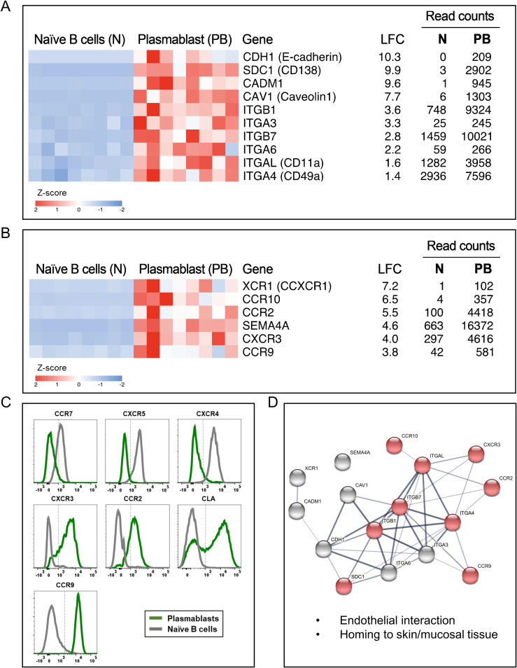 FIG 4