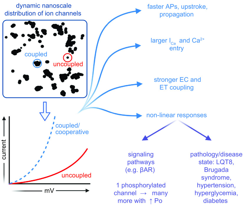 FIGURE 10.