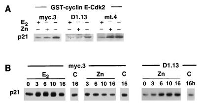 FIG. 8