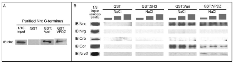 Fig. 6