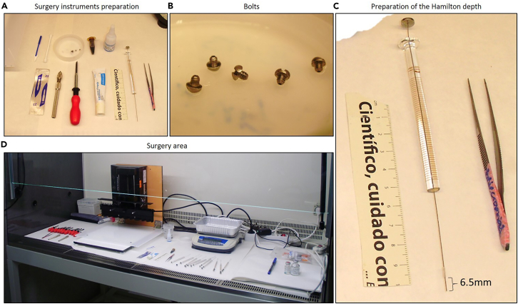 Figure 3