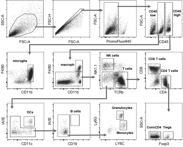 Figure 7