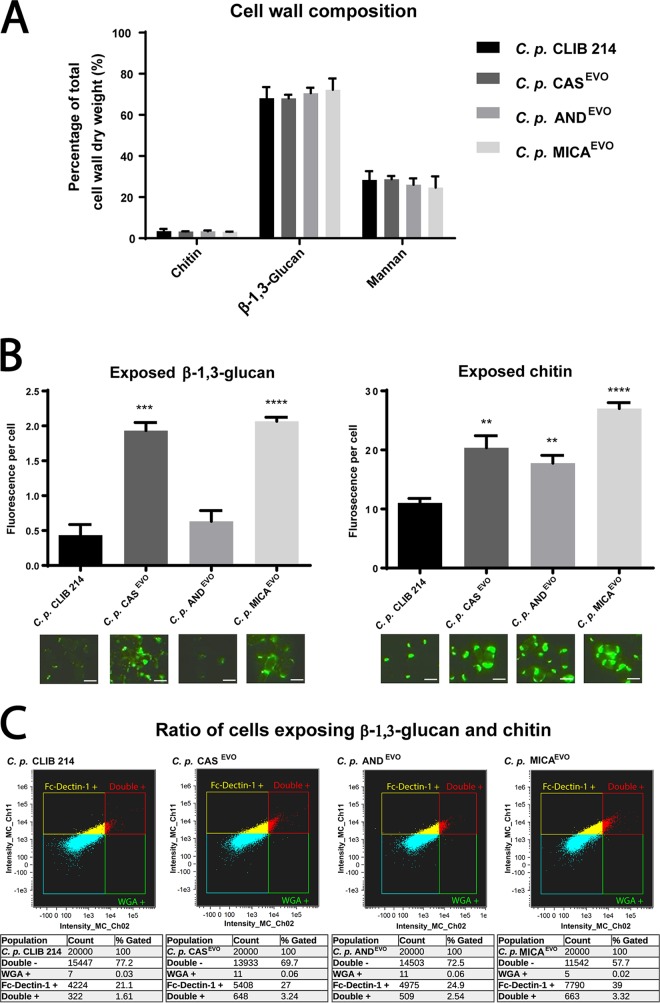 FIG 3