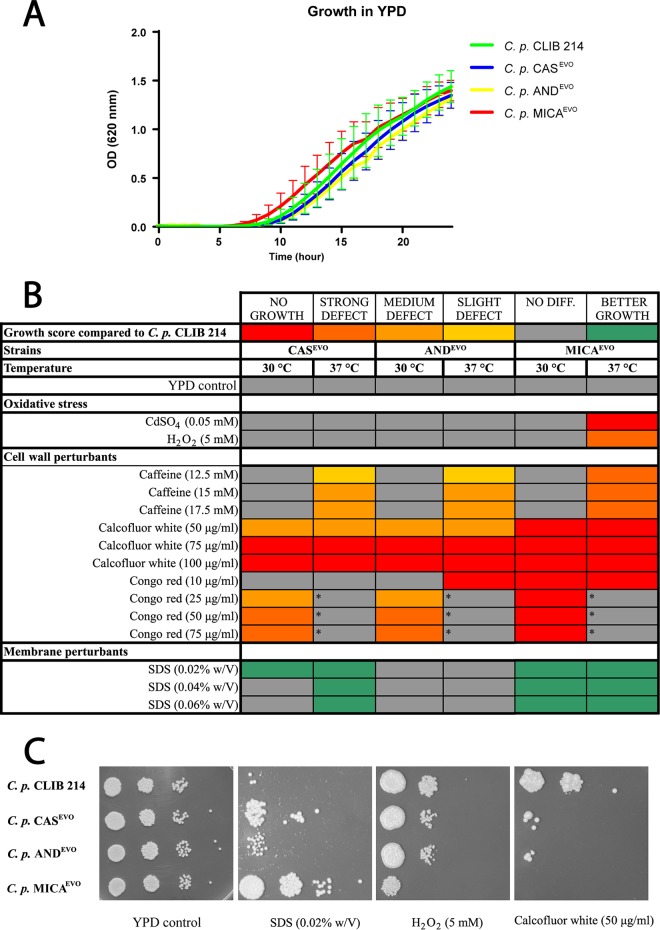 FIG 1