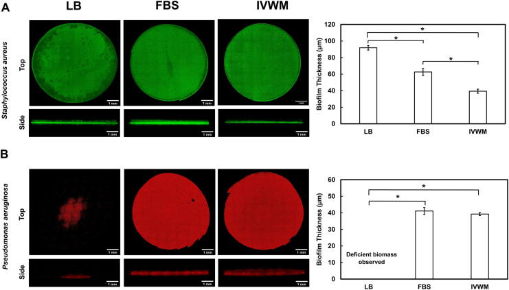 Fig. 4