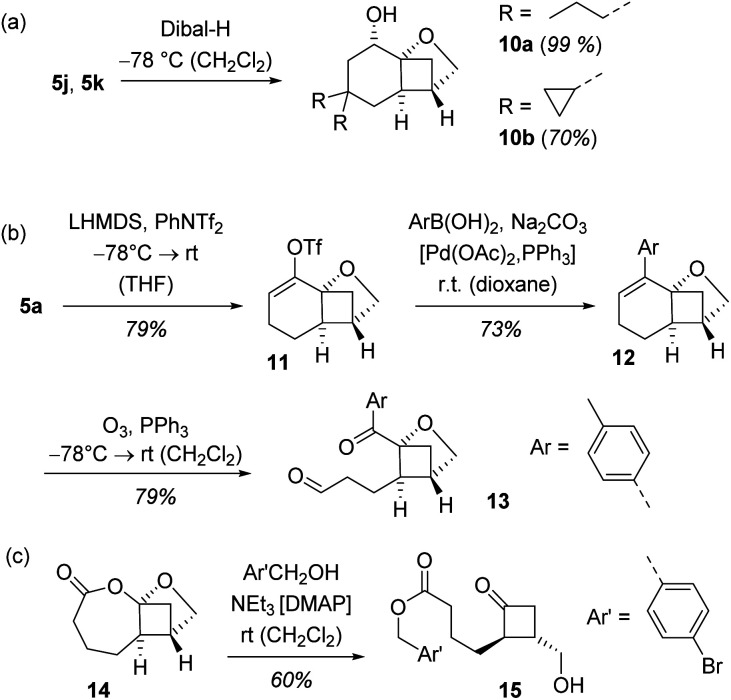 Scheme 6